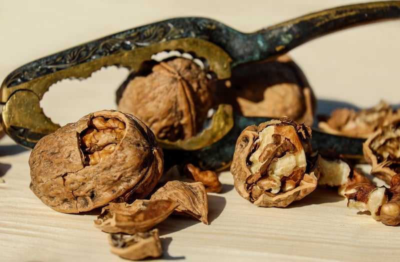 Nuts and Seeds